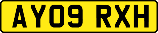 AY09RXH