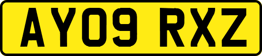 AY09RXZ