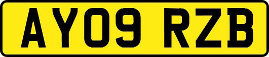 AY09RZB