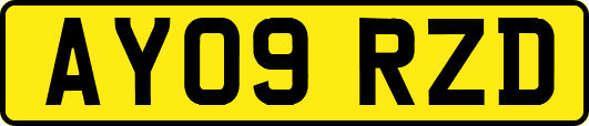 AY09RZD