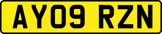 AY09RZN