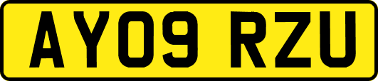 AY09RZU