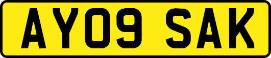AY09SAK