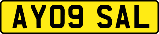 AY09SAL