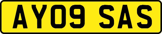 AY09SAS
