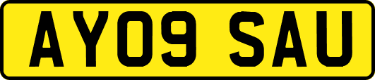 AY09SAU