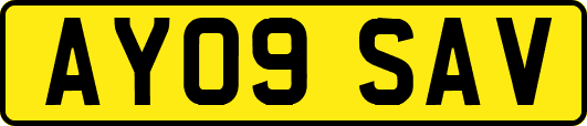 AY09SAV
