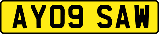 AY09SAW