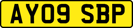 AY09SBP