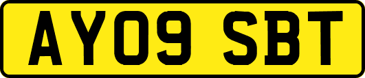 AY09SBT