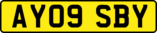 AY09SBY