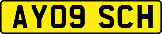 AY09SCH
