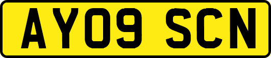 AY09SCN