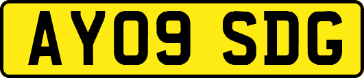 AY09SDG