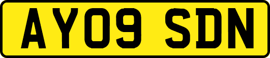AY09SDN