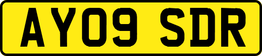 AY09SDR