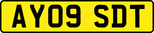 AY09SDT