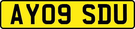 AY09SDU