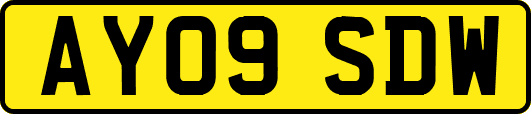 AY09SDW