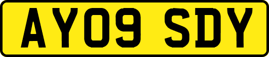 AY09SDY
