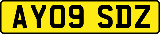 AY09SDZ