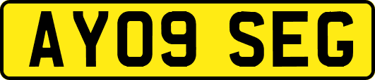 AY09SEG
