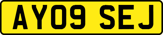 AY09SEJ