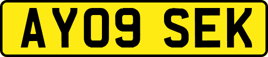 AY09SEK