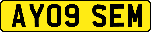 AY09SEM