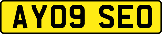 AY09SEO