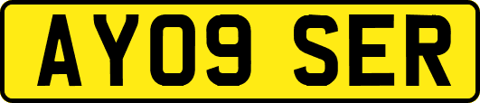 AY09SER