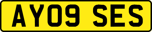 AY09SES