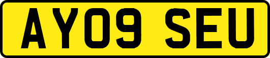 AY09SEU