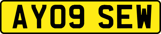 AY09SEW