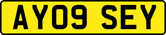 AY09SEY