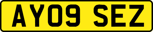 AY09SEZ