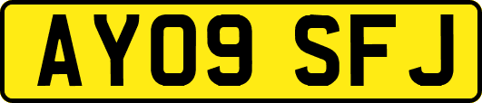 AY09SFJ