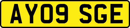 AY09SGE
