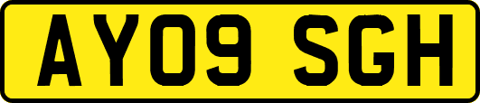 AY09SGH