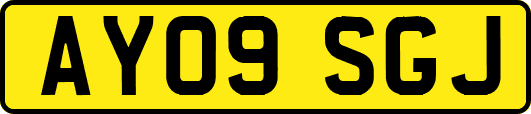 AY09SGJ