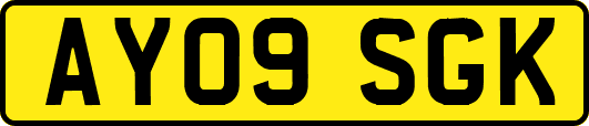 AY09SGK