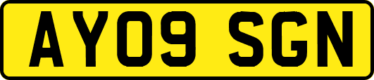 AY09SGN
