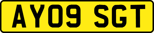 AY09SGT
