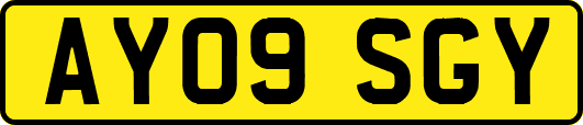 AY09SGY