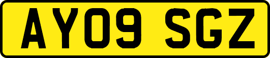 AY09SGZ