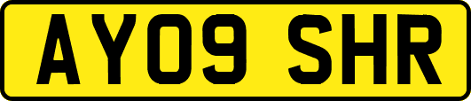 AY09SHR