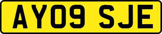 AY09SJE