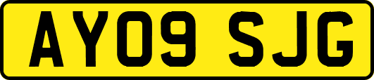 AY09SJG