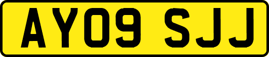 AY09SJJ