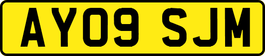 AY09SJM